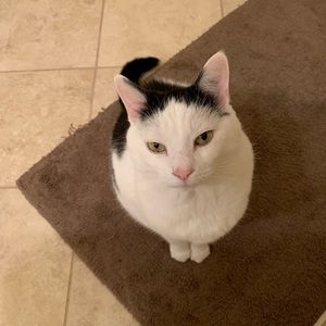 Meet your Posher, Sally